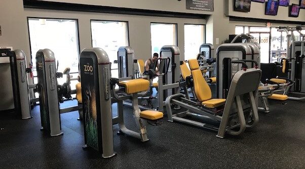 Gym, Health Club Workout Equipment