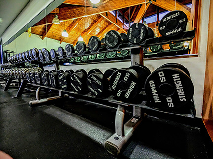 Zoo Gym Lantana Free Weights