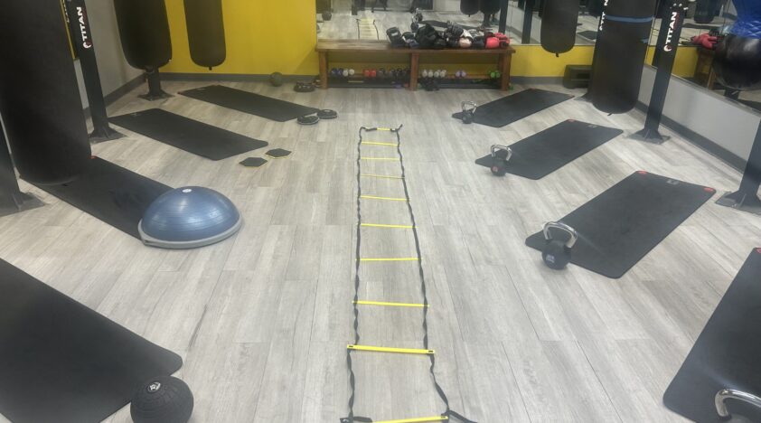 Zoo Gym Anna HIIT Class